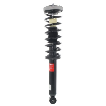Suspension Strut and Coil Spring Assembly