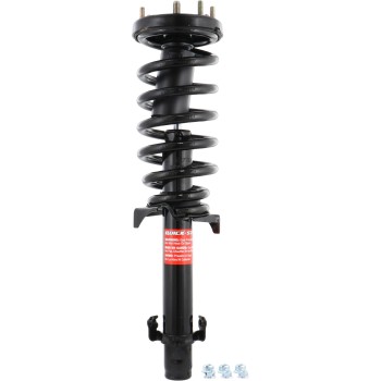 Suspension Strut and Coil Spring Assembly