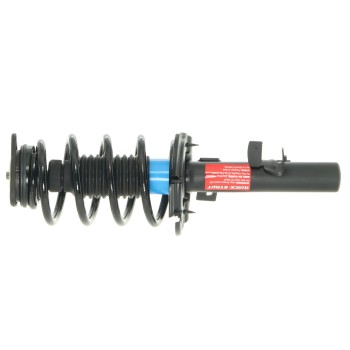 Suspension Strut and Coil Spring Assembly