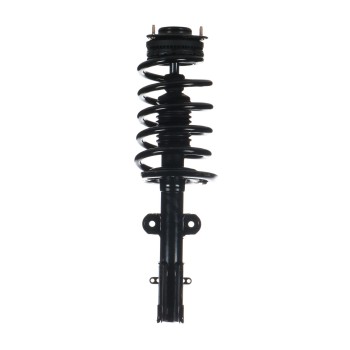 Suspension Strut and Coil Spring Assembly