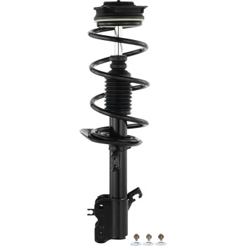 Suspension Strut and Coil Spring Assembly