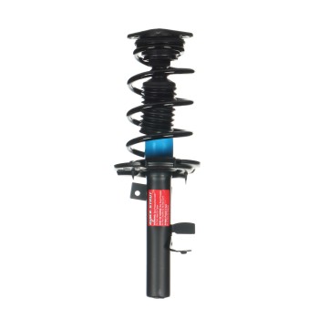 Suspension Strut and Coil Spring Assembly