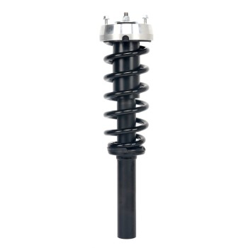 Suspension Strut and Coil Spring Assembly