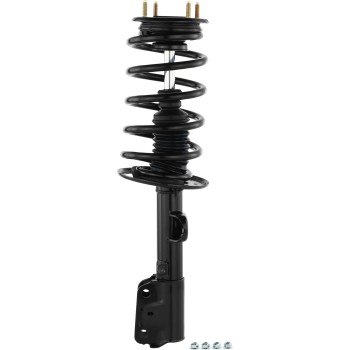 Suspension Strut and Coil Spring Assembly