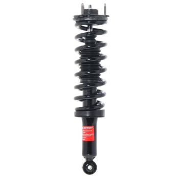 Suspension Strut and Coil Spring Assembly