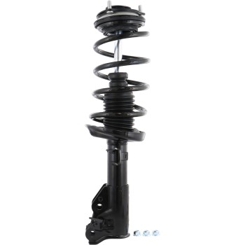 Suspension Strut and Coil Spring Assembly