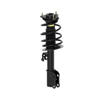 Suspension Strut and Coil Spring Assembly