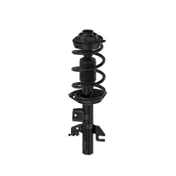 Suspension Strut and Coil Spring Assembly