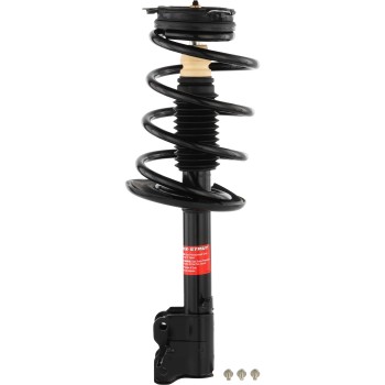 Suspension Strut and Coil Spring Assembly