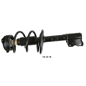 Suspension Strut and Coil Spring Assembly