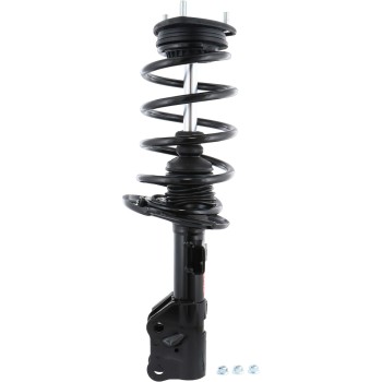 Suspension Strut and Coil Spring Assembly