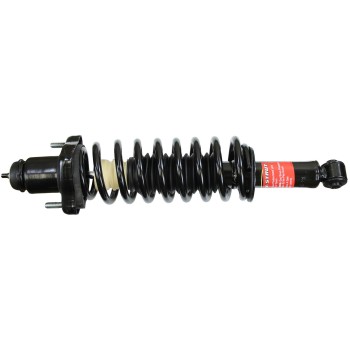 Suspension Strut and Coil Spring Assembly