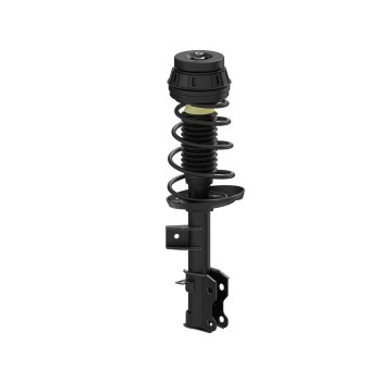 Suspension Strut and Coil Spring Assembly