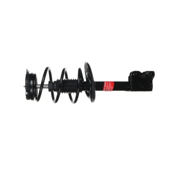 Suspension Strut and Coil Spring Assembly