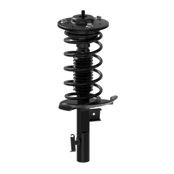 Suspension Strut and Coil Spring Assembly