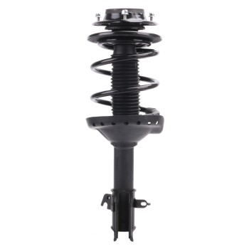 Suspension Strut and Coil Spring Assembly