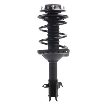 Suspension Strut and Coil Spring Assembly