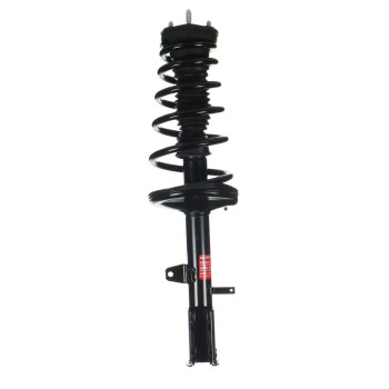 Suspension Strut and Coil Spring Assembly