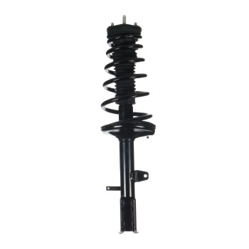Suspension Strut and Coil Spring Assembly