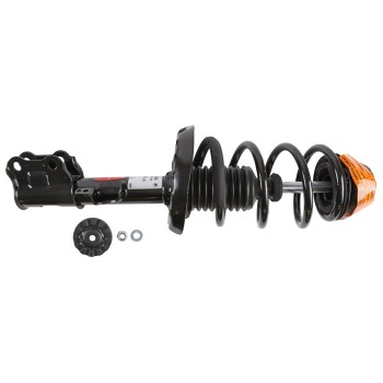 Suspension Strut and Coil Spring Assembly