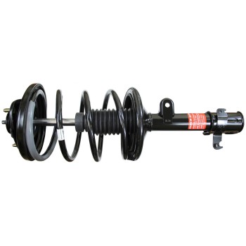 Suspension Strut and Coil Spring Assembly
