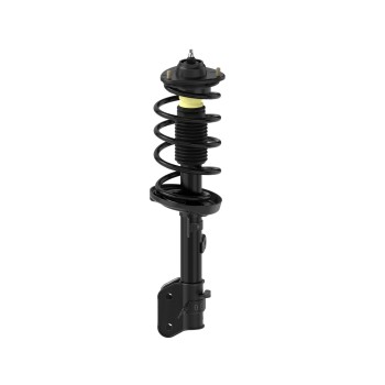 Suspension Strut and Coil Spring Assembly