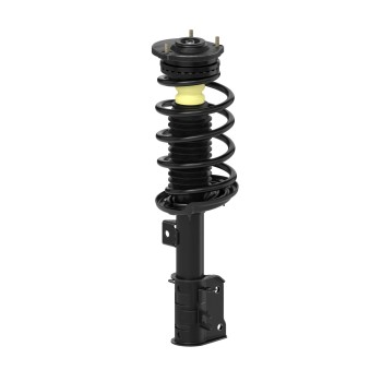 Suspension Strut and Coil Spring Assembly