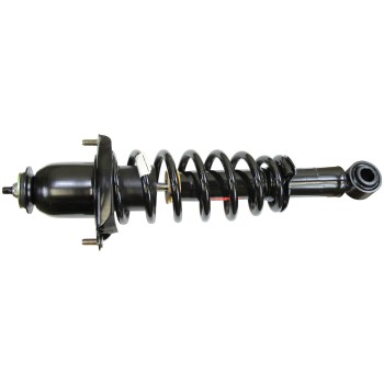 Suspension Strut and Coil Spring Assembly