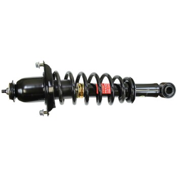 Suspension Strut and Coil Spring Assembly