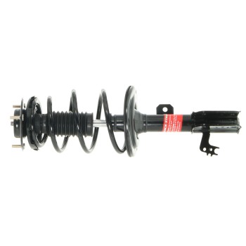 Suspension Strut and Coil Spring Assembly
