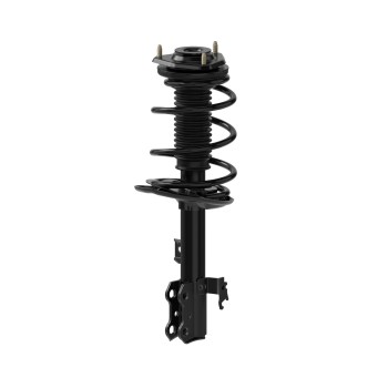 Suspension Strut and Coil Spring Assembly