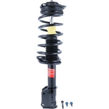 Suspension Strut and Coil Spring Assembly