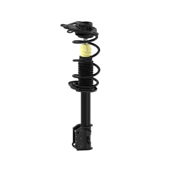 Suspension Strut and Coil Spring Assembly