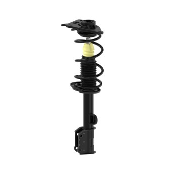 Suspension Strut and Coil Spring Assembly