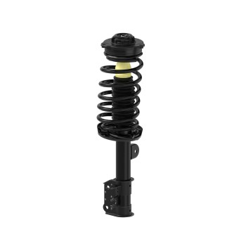 Suspension Strut and Coil Spring Assembly