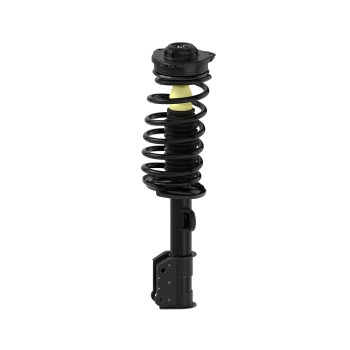 Suspension Strut and Coil Spring Assembly