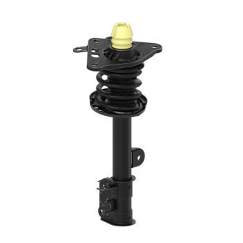 Suspension Strut and Coil Spring Assembly