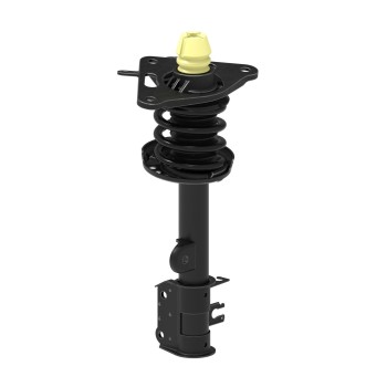 Suspension Strut and Coil Spring Assembly