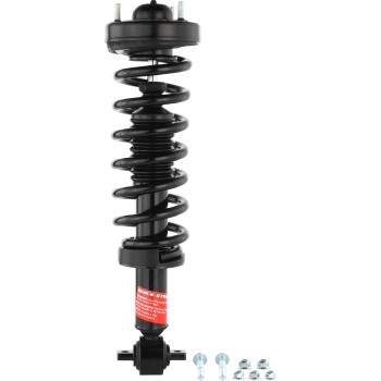 Suspension Strut and Coil Spring Assembly