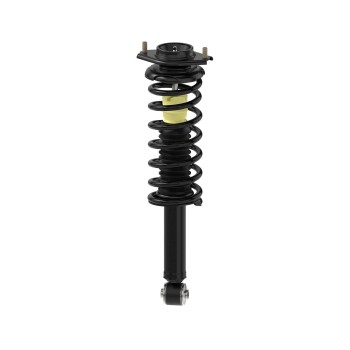 Suspension Strut and Coil Spring Assembly