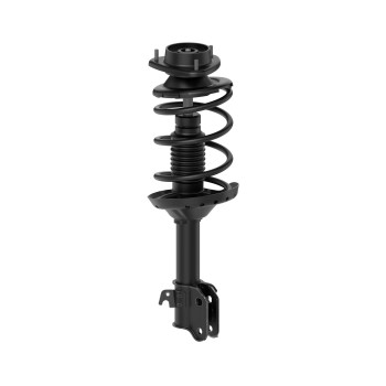 Suspension Strut and Coil Spring Assembly