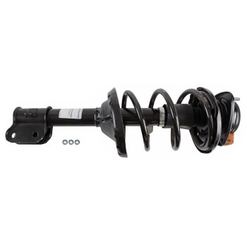 Suspension Strut and Coil Spring Assembly