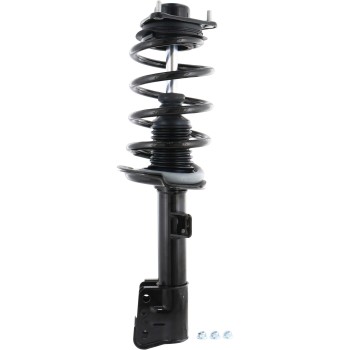 Suspension Strut and Coil Spring Assembly