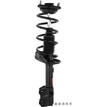 Suspension Strut and Coil Spring Assembly