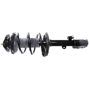 Suspension Strut and Coil Spring Assembly