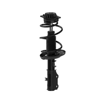 Suspension Strut and Coil Spring Assembly