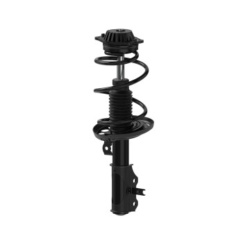 Suspension Strut and Coil Spring Assembly