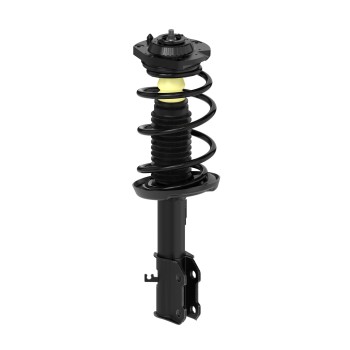 Suspension Strut and Coil Spring Assembly