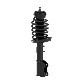 Suspension Strut and Coil Spring Assembly