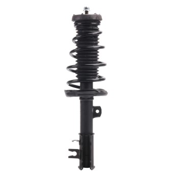 Suspension Strut and Coil Spring Assembly
